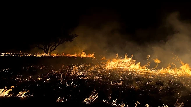 Ross Fire in Palo Pinto County Burns 50,000 Acres, Evacuations Ordered