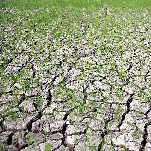 3 Million New Jersey Residents Affected by Drought Amid Record Dry Conditions