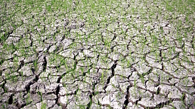 3 Million New Jersey Residents Affected by Drought Amid Record Dry Conditions