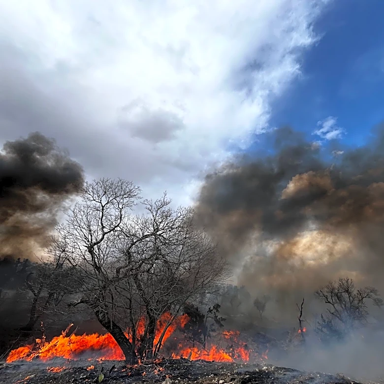 Two Wildfires Spread Across North-Central Texas