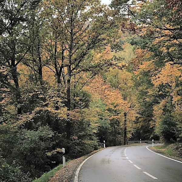 The Best Fall Foliage Destinations in the US