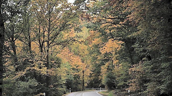 The Best Fall Foliage Destinations in the US