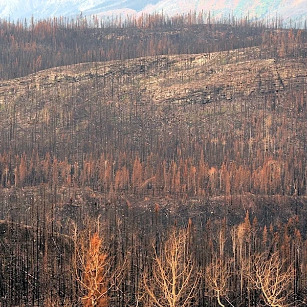 California Steps Up as Federal Wildfire Crews Face Resource Strain