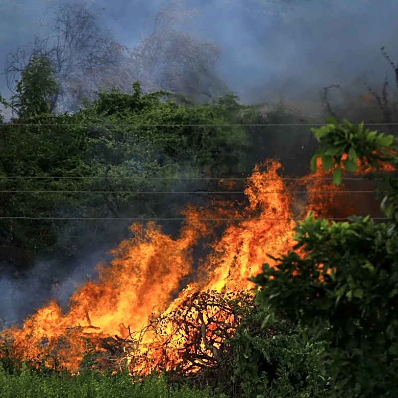 Prescribed Burns Planned in Las Cruces District to Reduce Wildfire Risk