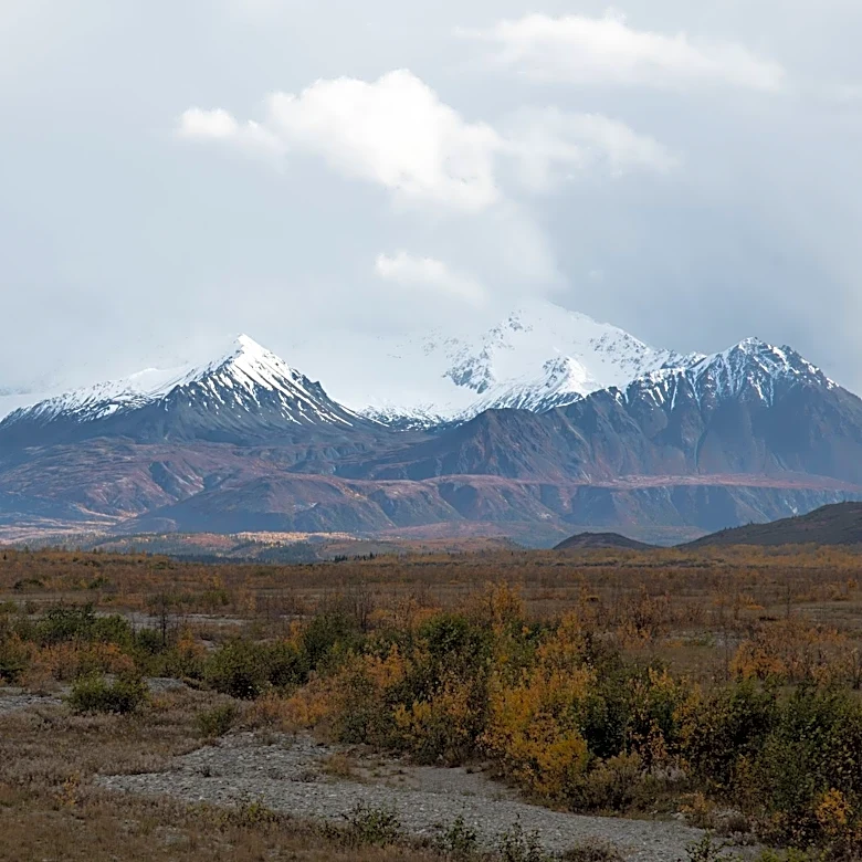 Gusty Winds and Rain Sweep Across Southcentral and Interior Alaska