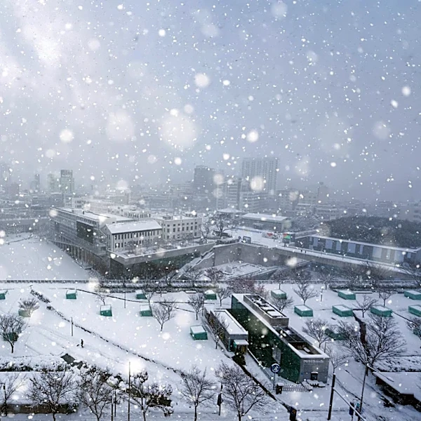 El Niño Expected to Bring Historic Snowfall and Ice Risks Across the U.S.