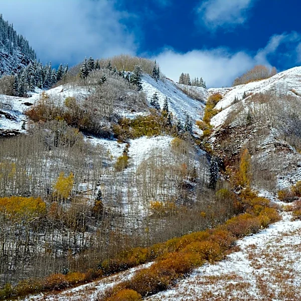 Colorado's Fall Forecast Suggests Early Snowfall Amid Strengthening El Nino