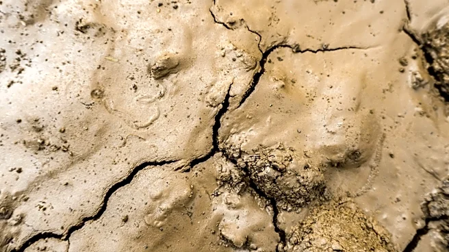 NOAA Predicts Very Strong El Niño for Late 2026