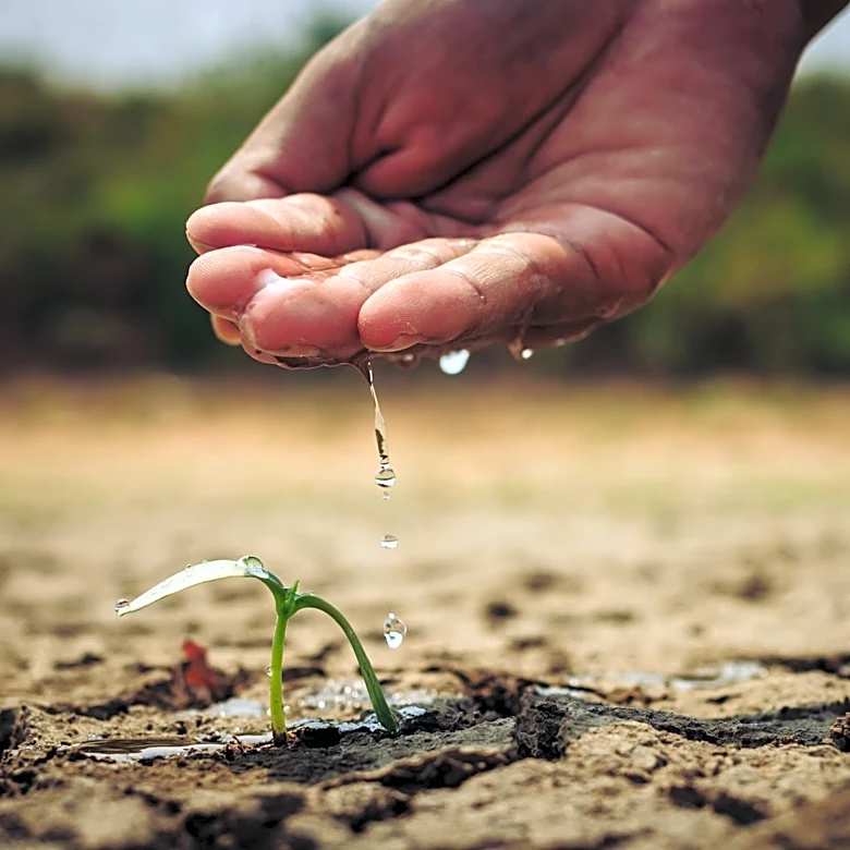 Virginia Faces Persistent Drought Amid Record-Low Precipitation