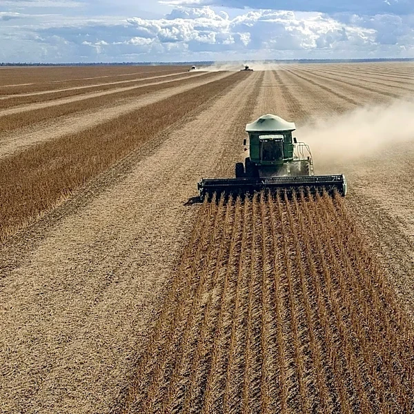 Super El Niño Expected to Reshape Global Agricultural Patterns