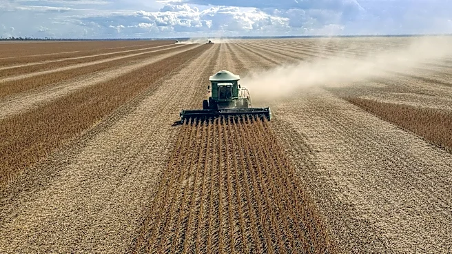 Super El Niño Expected to Reshape Global Agricultural Patterns