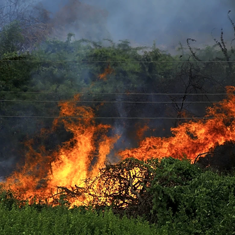 Record-breaking Heat Dome and Severe Weather Events Impact Multiple Regions