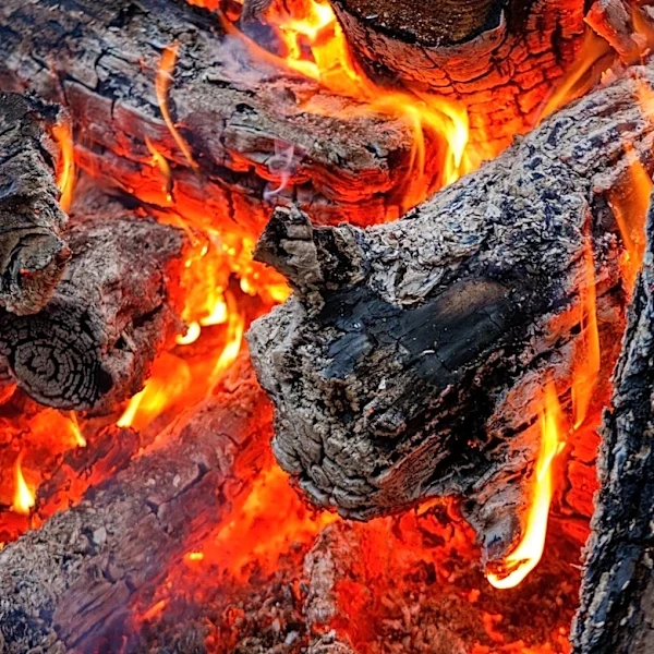 Wildfire Risks Heighten for Campers in California