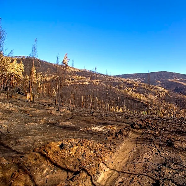 Hill Loop Fire Near Kettle Falls Reaches 90% Containment
