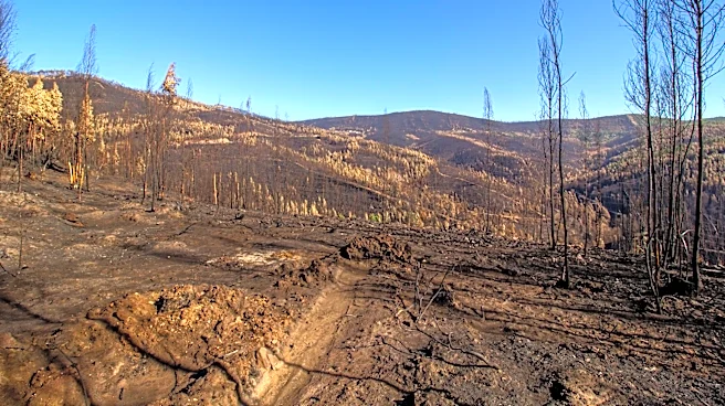 Hill Loop Fire Near Kettle Falls Reaches 90% Containment