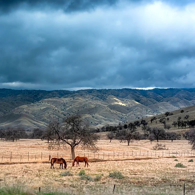 Atmospheric Rivers: A Key to Alleviating West Coast Drought