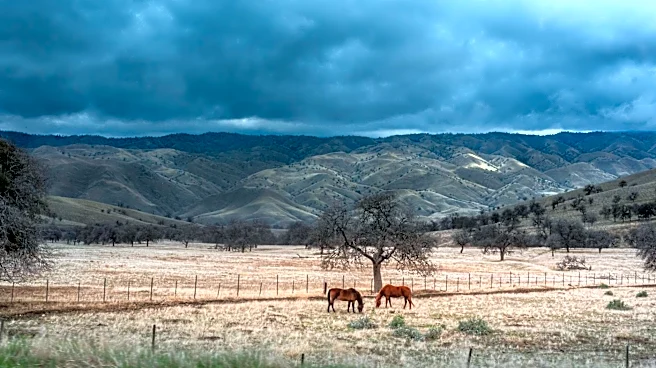 Atmospheric Rivers: A Key to Alleviating West Coast Drought