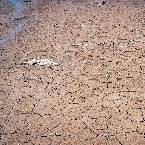 New Jersey Faces Record Drought Conditions Amid Precipitation Deficits