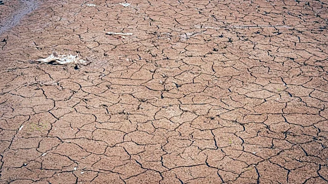 New Jersey Faces Record Drought Conditions Amid Precipitation Deficits