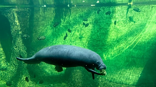 SeaWorld Orlando Highlights Marine Conservation Efforts