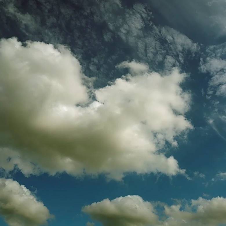 Clear Skies and Thunderstorms in Houston: 14-Day Forecast