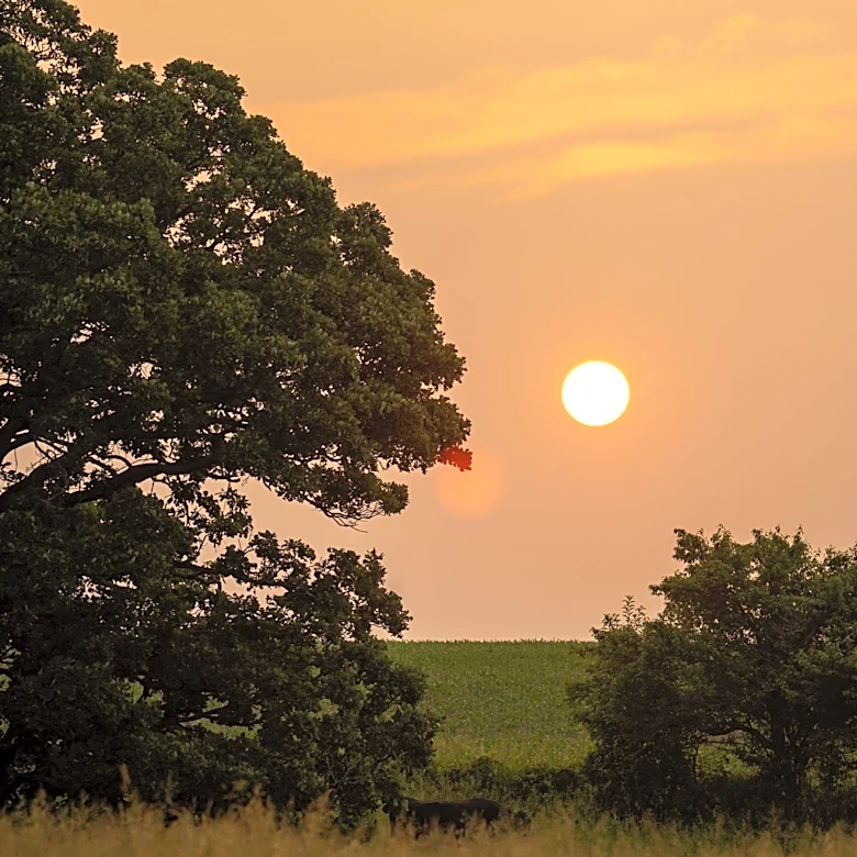 Late Summer Heat Wave Expected in Northeast Kansas