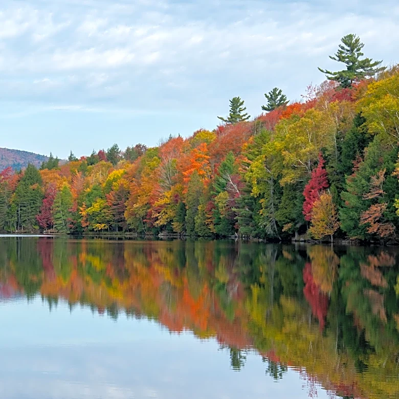 2026 Fall Foliage Forecast: Peak Colors in Southern New England