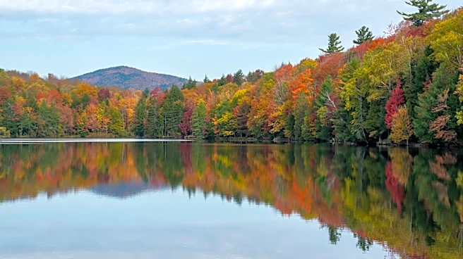 2026 Fall Foliage Forecast: Peak Colors in Southern New England