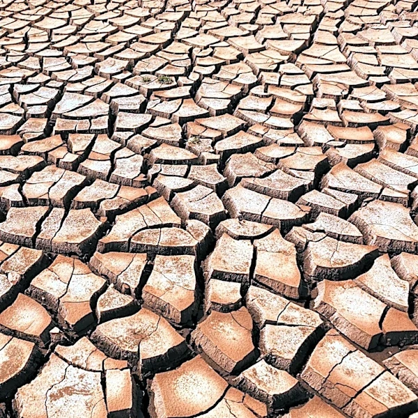 Colorado Faces Widespread Drought Conditions with Emergency Measures Activated