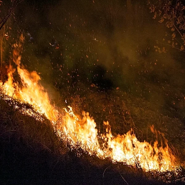 Sacramento Weather: Normal August Temperatures with Increased Fire Danger