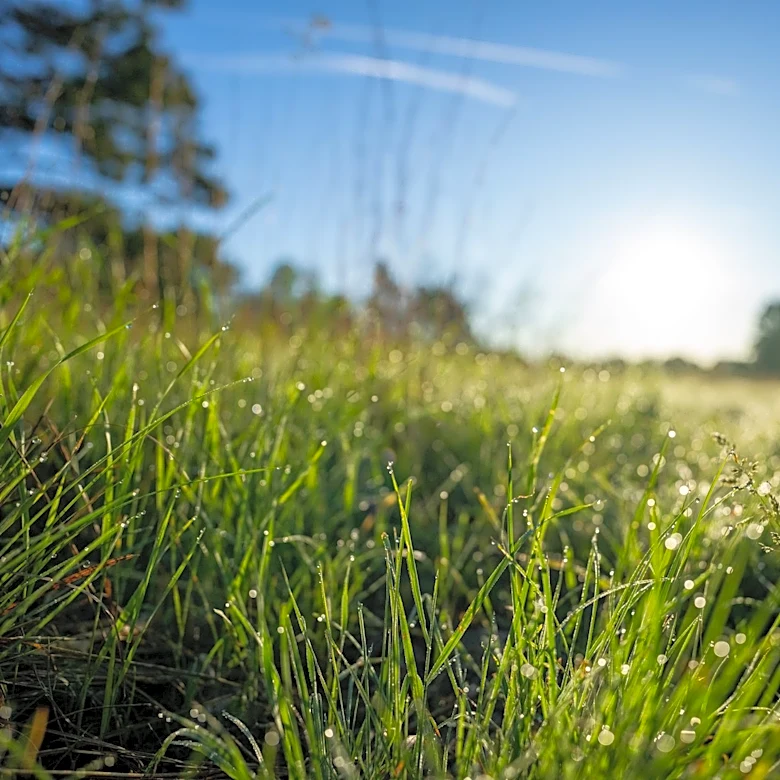 Hot and Humid Conditions Persist Across Minnesota, Storms Possible in the North