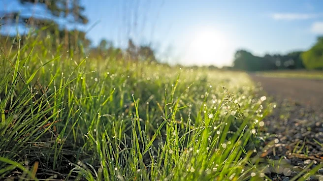 Hot and Humid Conditions Persist Across Minnesota, Storms Possible in the North