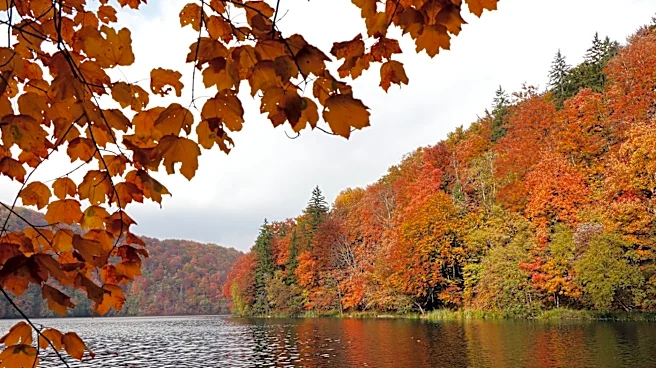2026 Fall Foliage Forecast Highlights Delayed Peak in New England