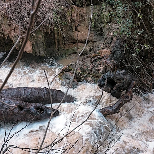 Dozens Evacuated After Flash Flood Hits Grand Canyon