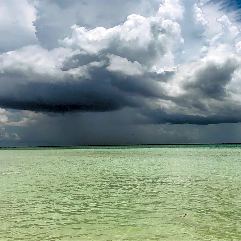 Rain and High Water Temperatures Challenge Gulf of Mexico Conditions