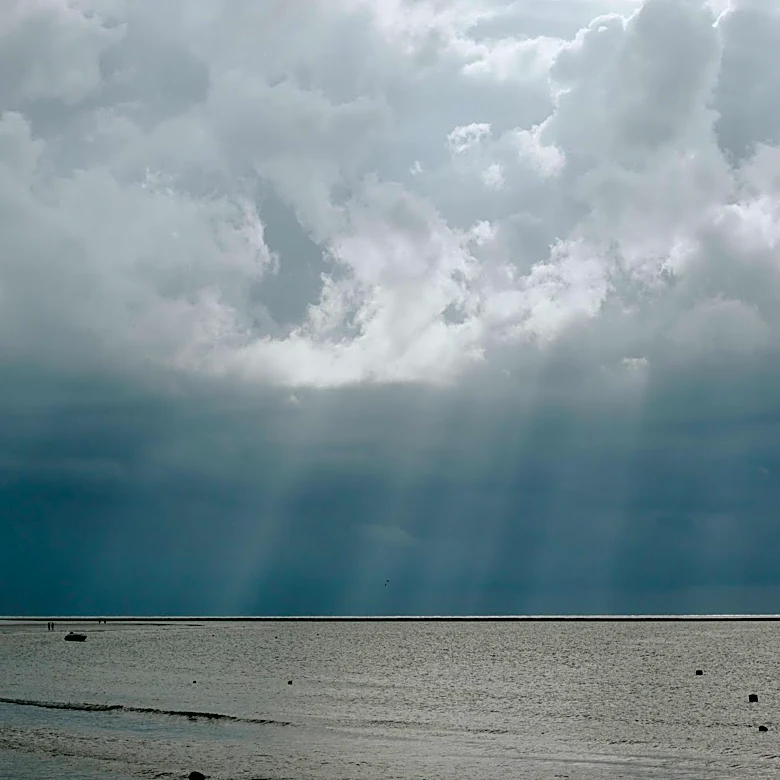 Mostly Sunny with Afternoon Showers Expected in New Orleans