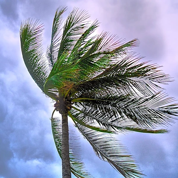 Rainy Week Ahead for Polk County Amid Tropical Activity