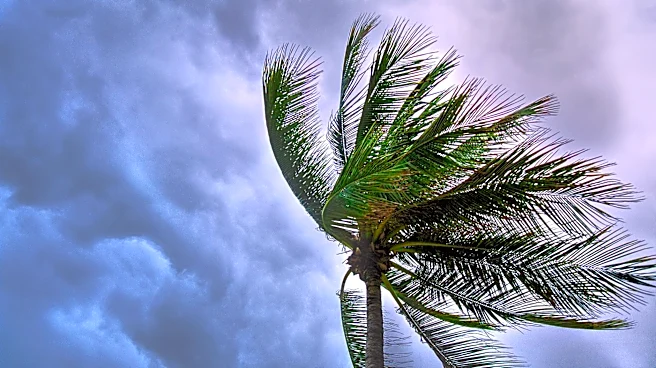 Rainy Week Ahead for Polk County Amid Tropical Activity