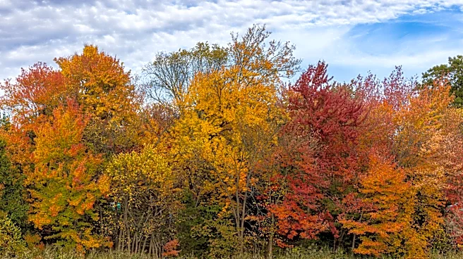 New England and Upstate New York to Showcase Vibrant Fall Foliage in 2026