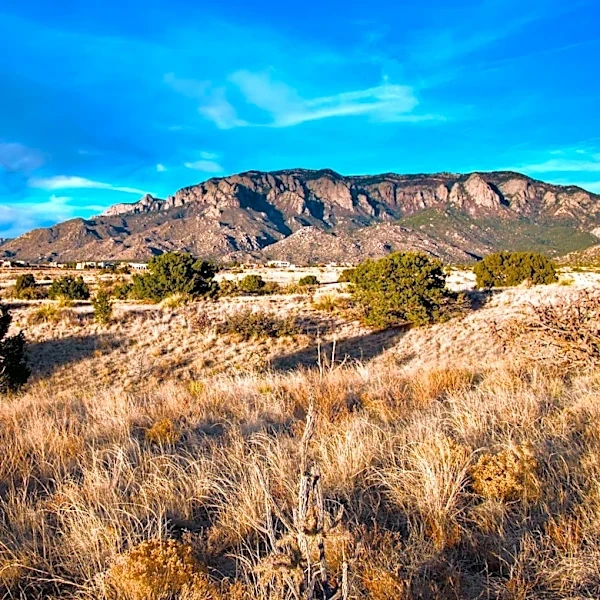 Albuquerque Reports Good Air Quality and Low Pollen Count