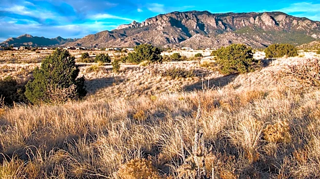 Albuquerque Reports Good Air Quality and Low Pollen Count