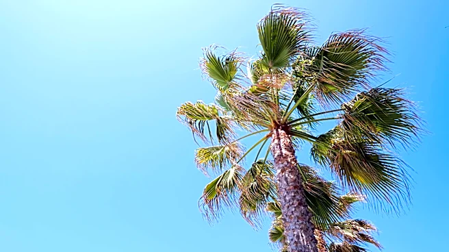Mellow Week in San Diego Before Potential Holiday Weekend Showers