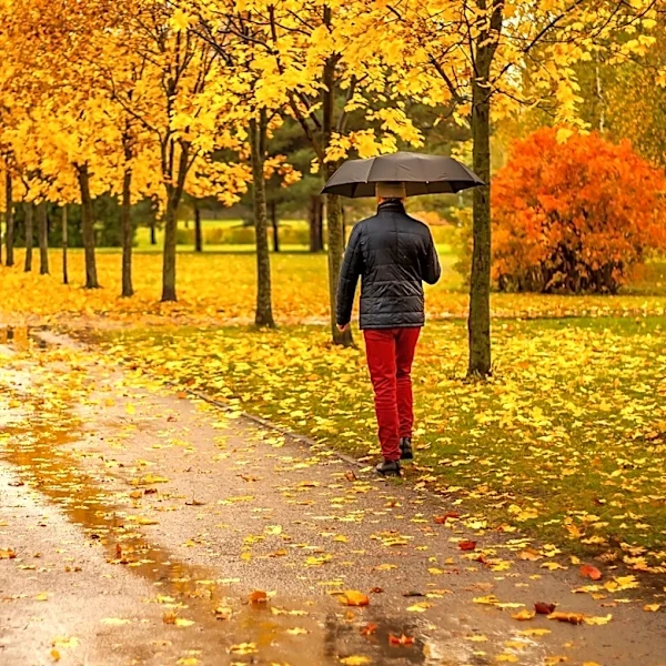 El Niño Strengthens, Warmer Fall Expected Across U.S.