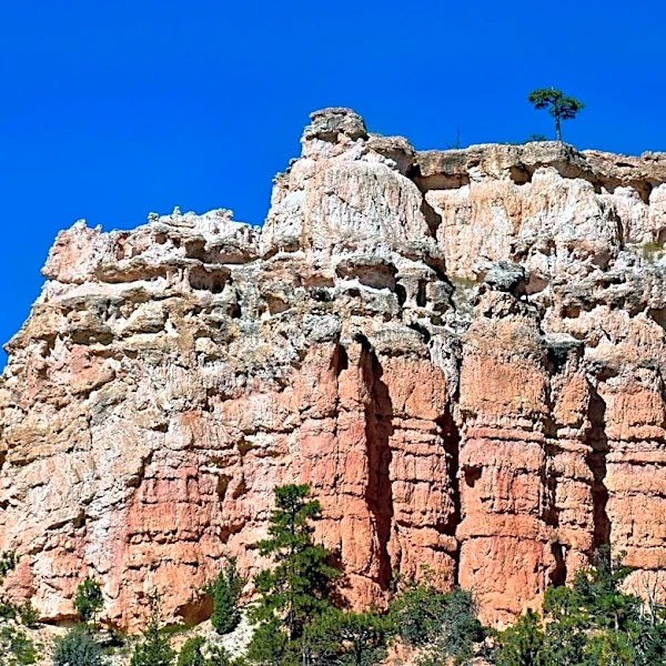Flash Flood Warnings Issued for Bryce Canyon National Park