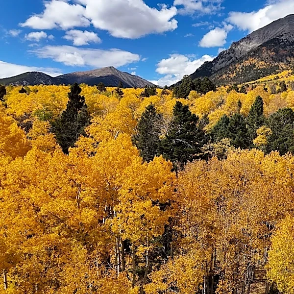 NOAA Predicts Warmer Fall with Wetter Conditions in Southwest and Southeast