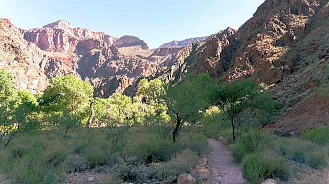 Search Continues for Missing Person After Grand Canyon Flash Flood