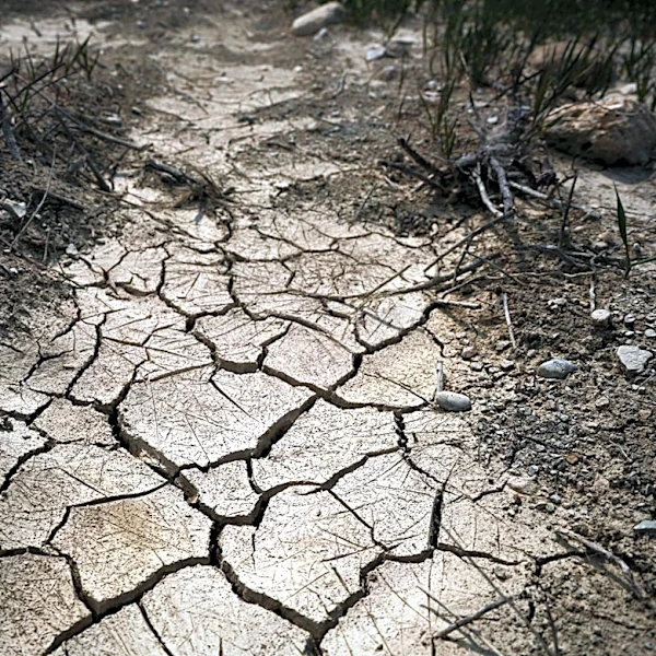 North Carolina Faces Persistent Heat and Mixed Drought Conditions in August 2026