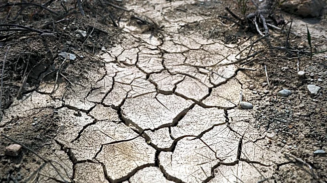 North Carolina Faces Persistent Heat and Mixed Drought Conditions in August 2026