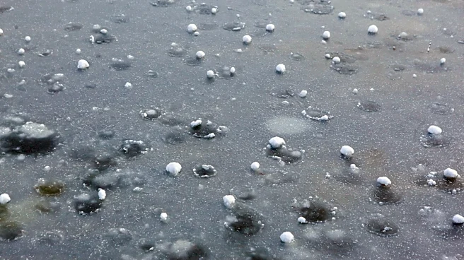 Illinois Confirms Record-Breaking Hailstone Amid Severe Weather Year
