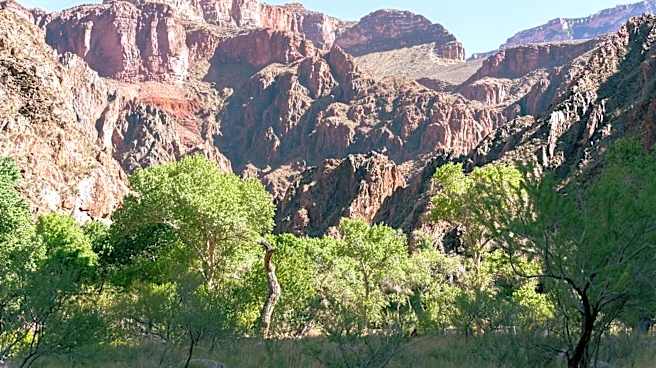 Flash Floods in Grand Canyon Claim Lives Amid Monsoon Season